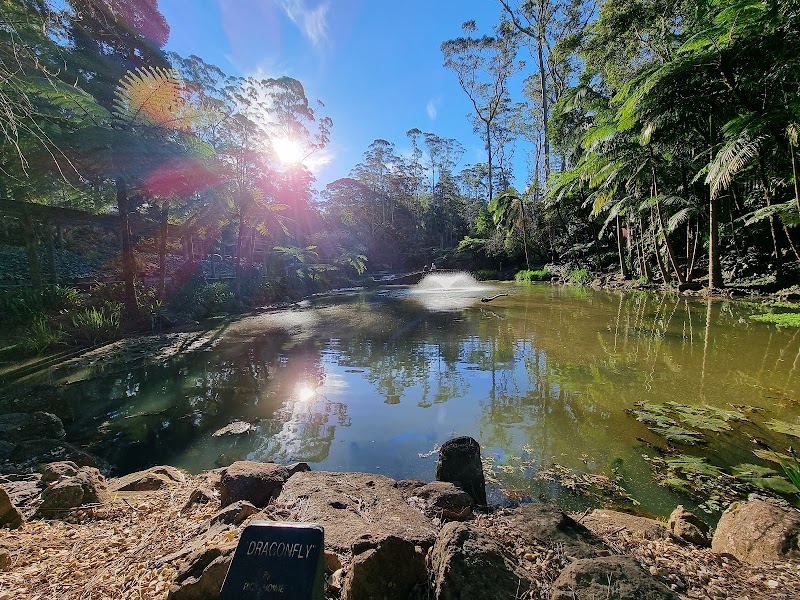 Tamborine Mountain