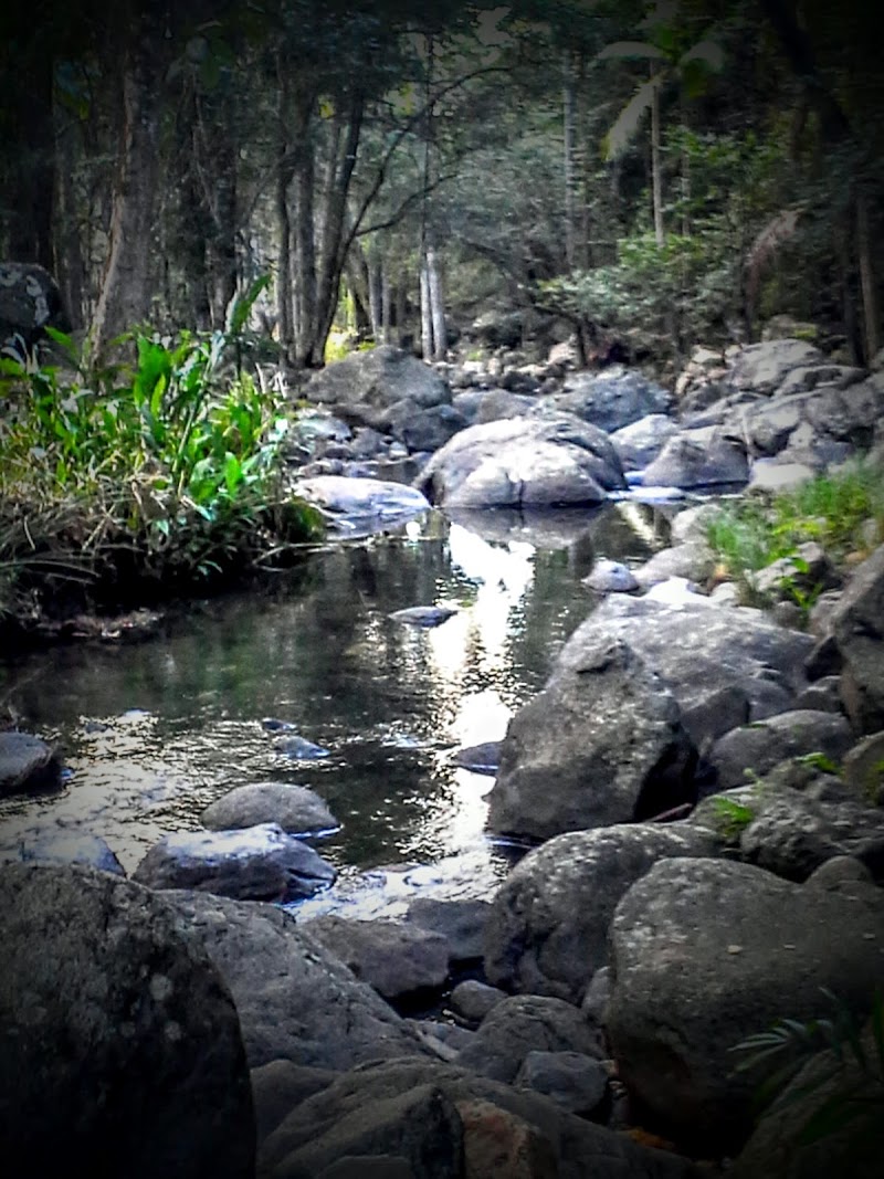Tamborine Mountain