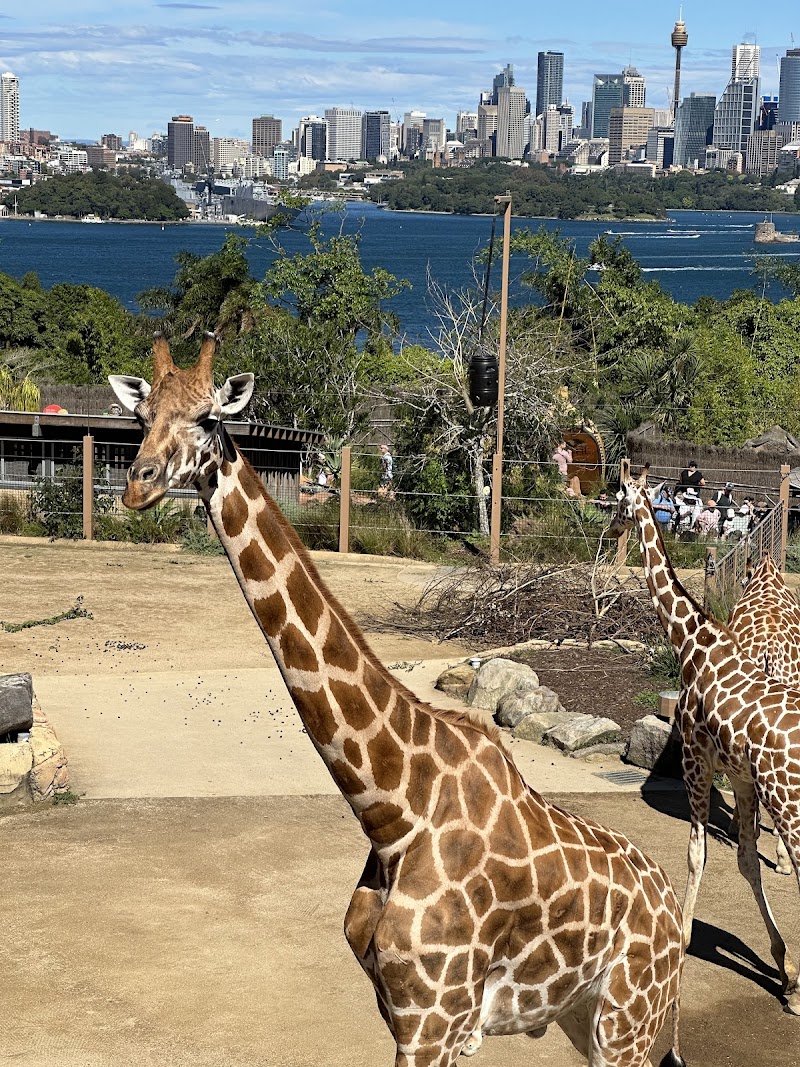 Taronga Zoo