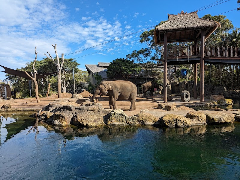 Taronga Zoo
