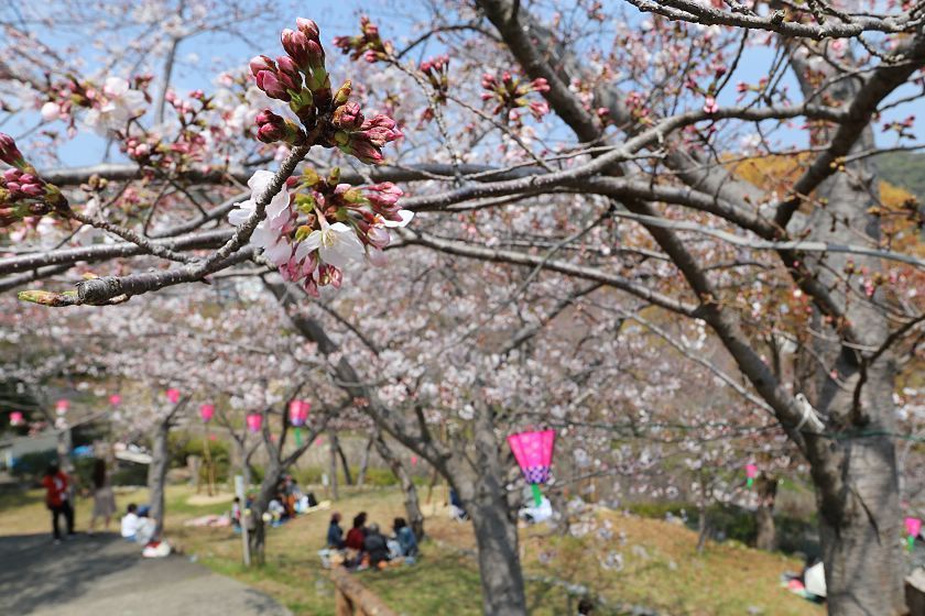 Tateyama Park