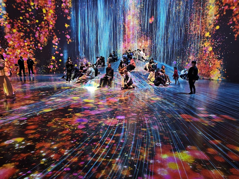 teamLab Borderless
