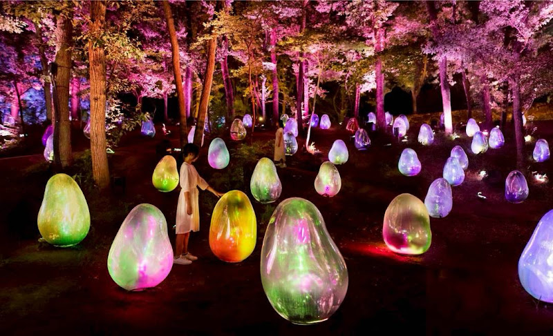TeamLab Botanical Garden