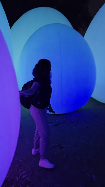 TeamLab Botanical Garden