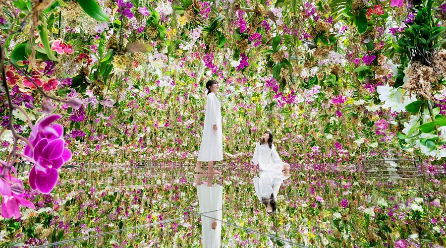 teamLab Planets