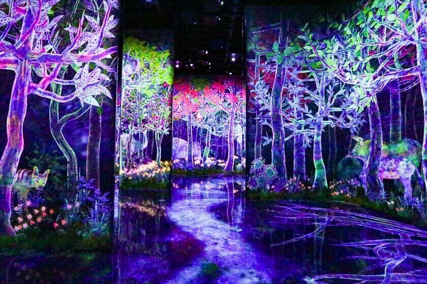 teamLab Planets