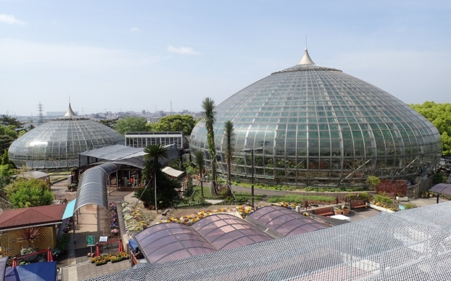 Tegarayama Central Park