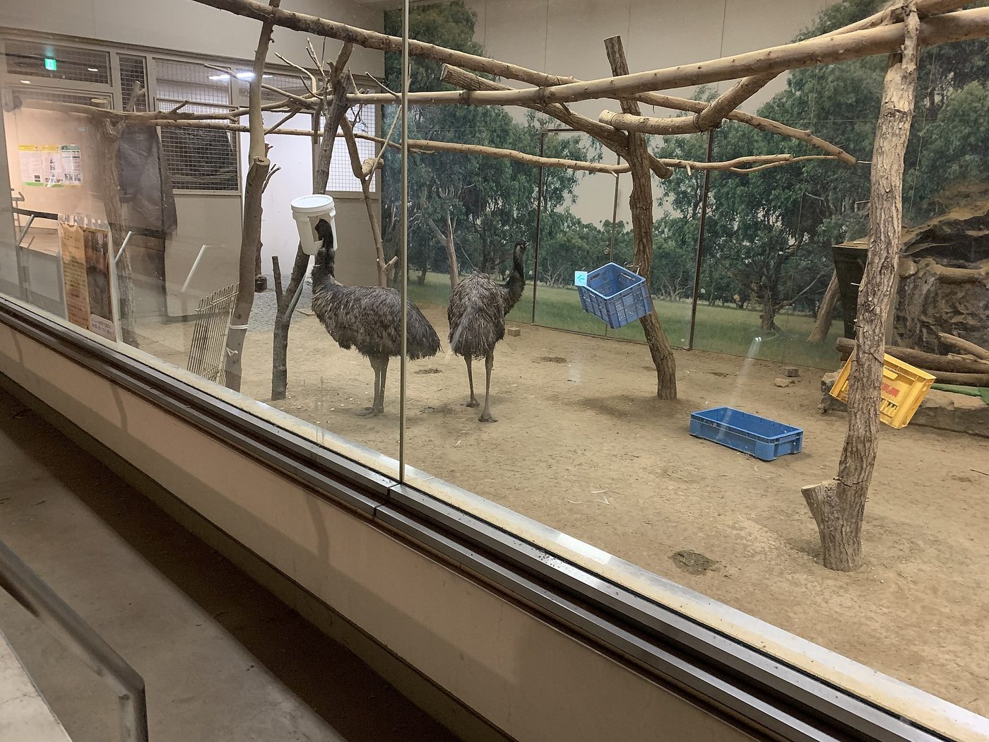 Tennoji Zoo