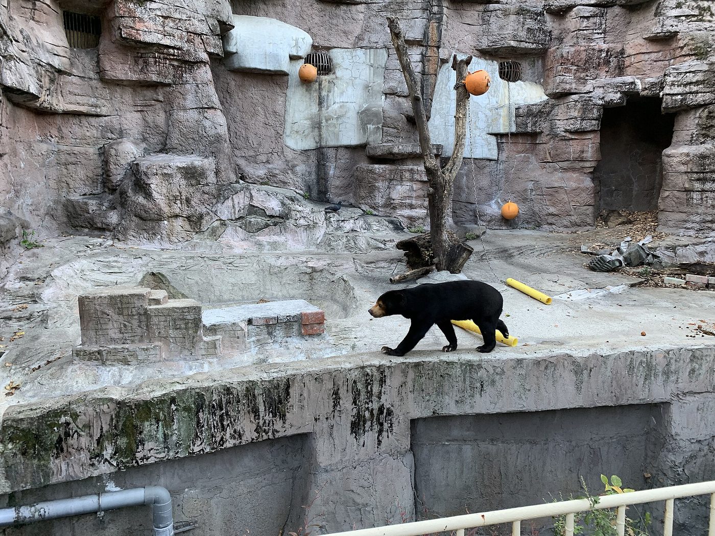 Tennoji Zoo