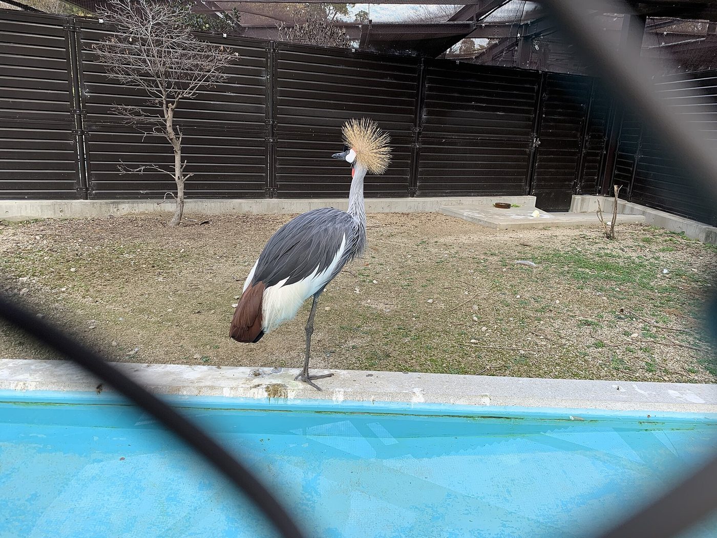 Tennoji Zoo