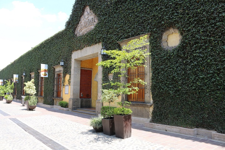 Tequila Distillery Tour