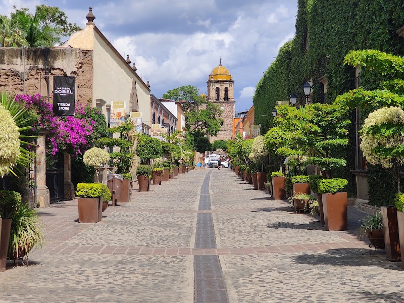 Tequila Distillery Tour