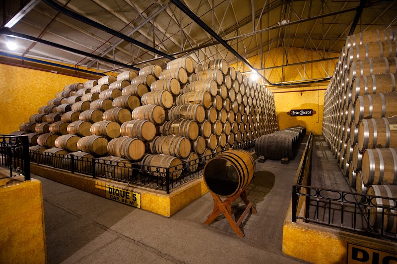 Tequila Distillery Tour