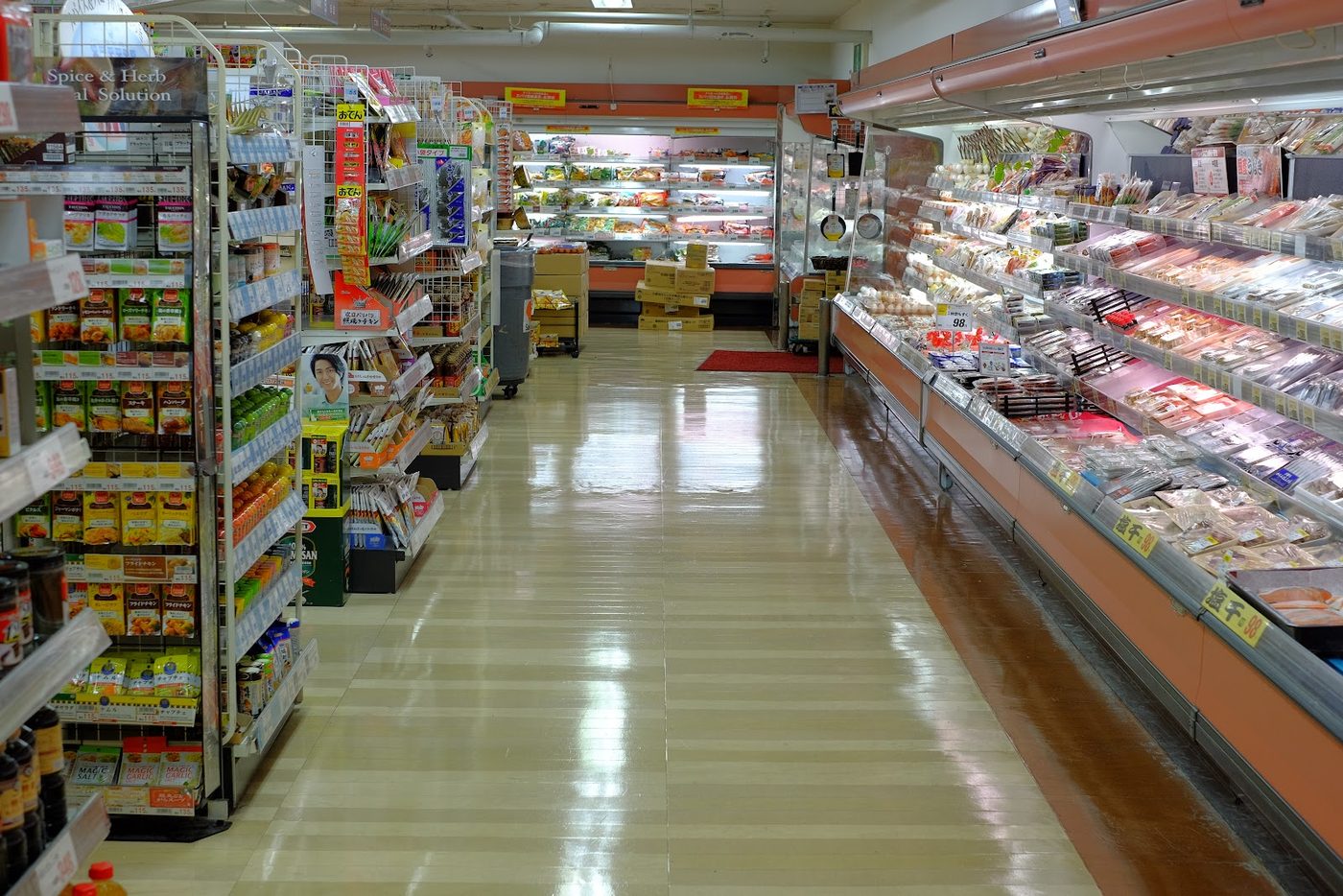 Teramachi & Shinkyogoku Shopping