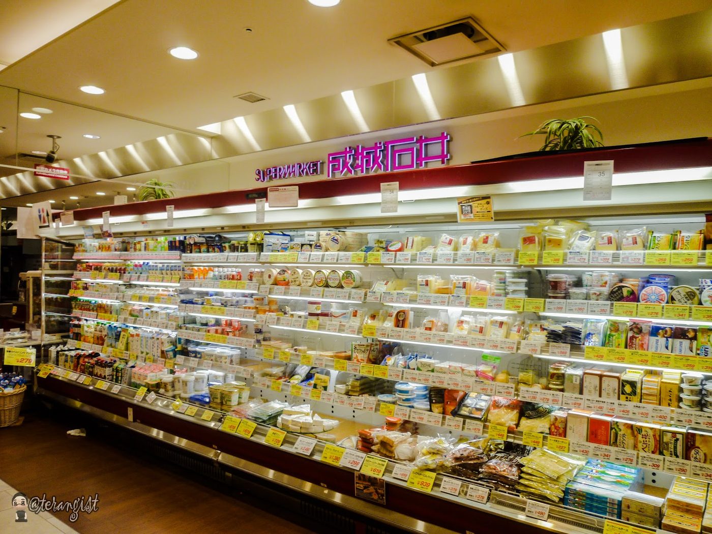 Teramachi & Shinkyogoku Shopping