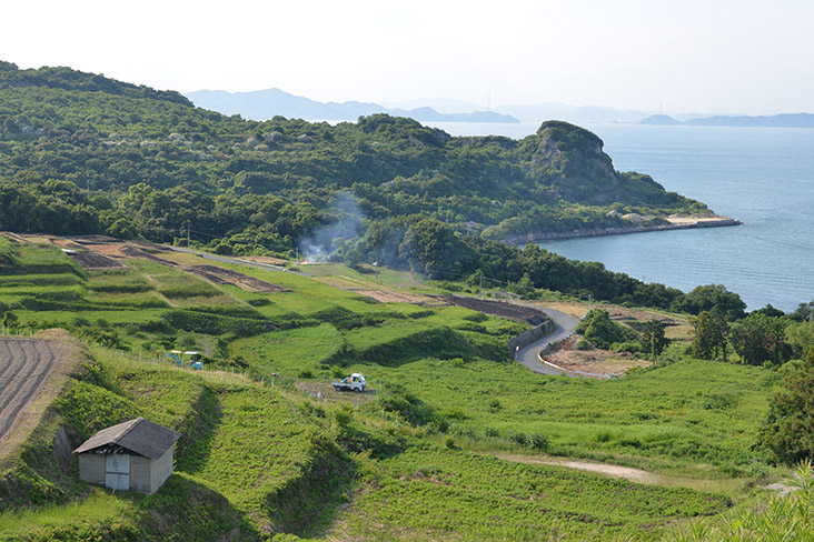 Teshima Terraced Rice Paddies