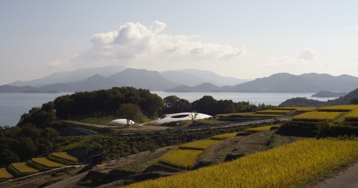 Teshima Terraced Rice Paddies