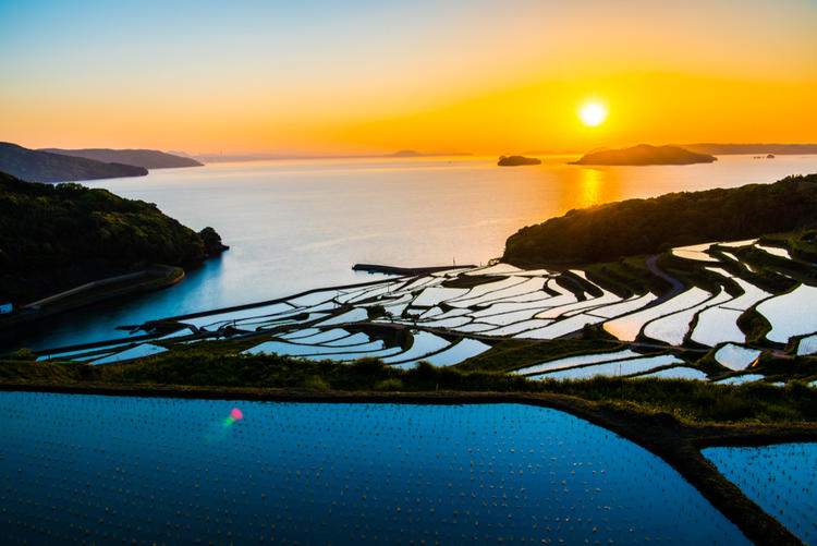 Teshima Terraced Rice Paddies
