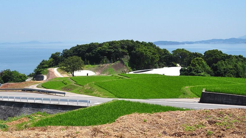 Teshima Terraced Rice Paddies