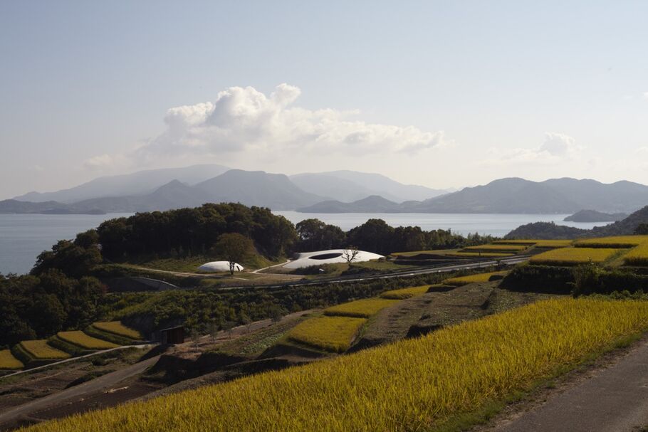 Teshima Terraced Rice Paddies