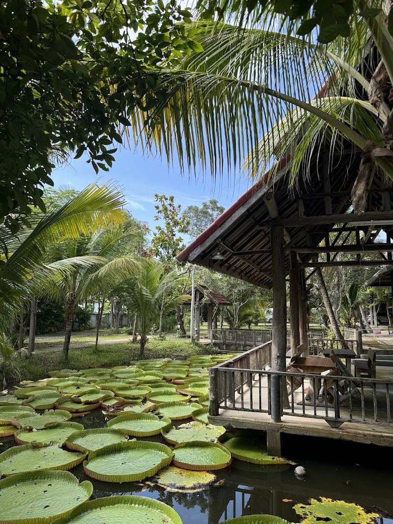 Thai Farm Cooking School