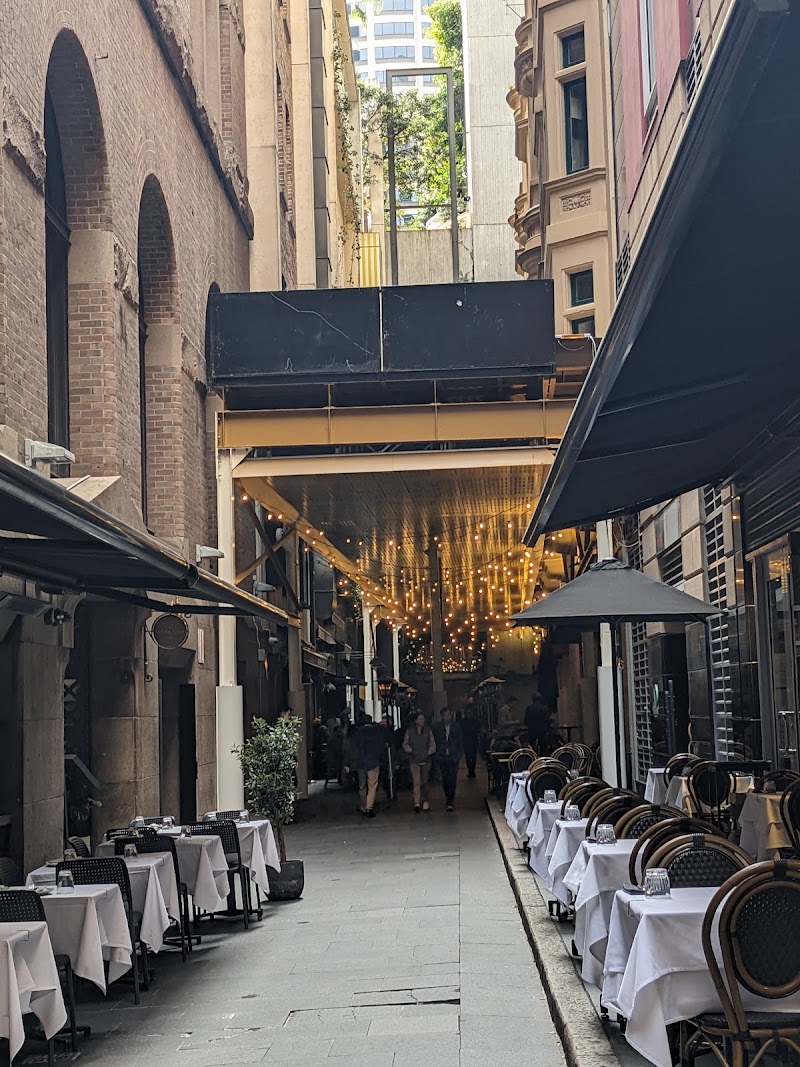 The Ivy