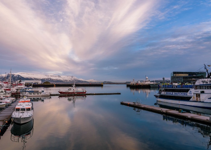 The Old Harbour (Grandi)