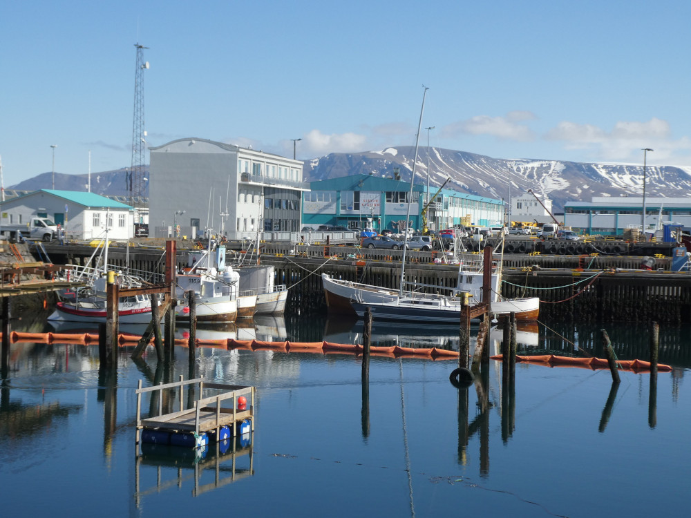 The Old Harbour (Grandi)