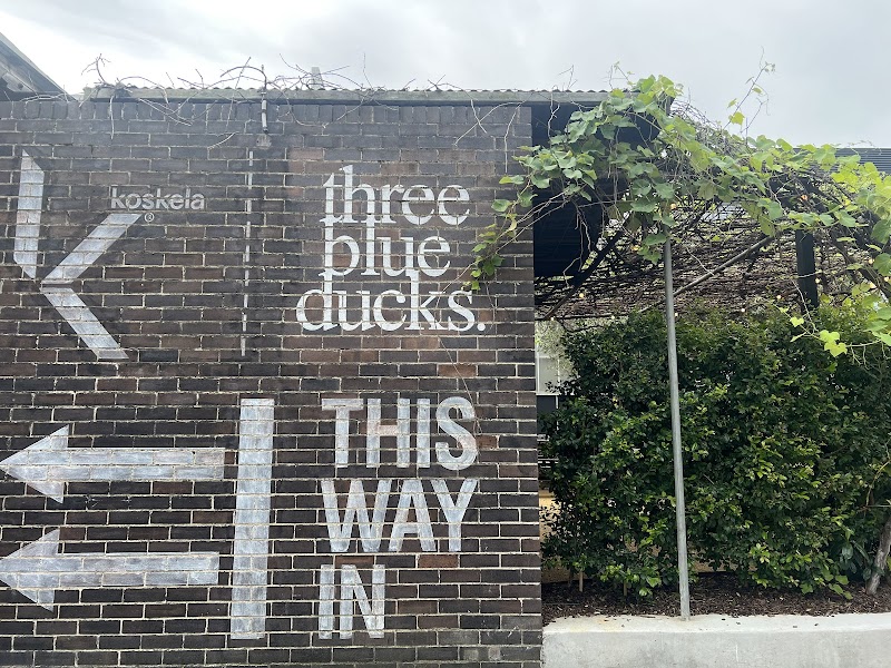 Three Blue Ducks