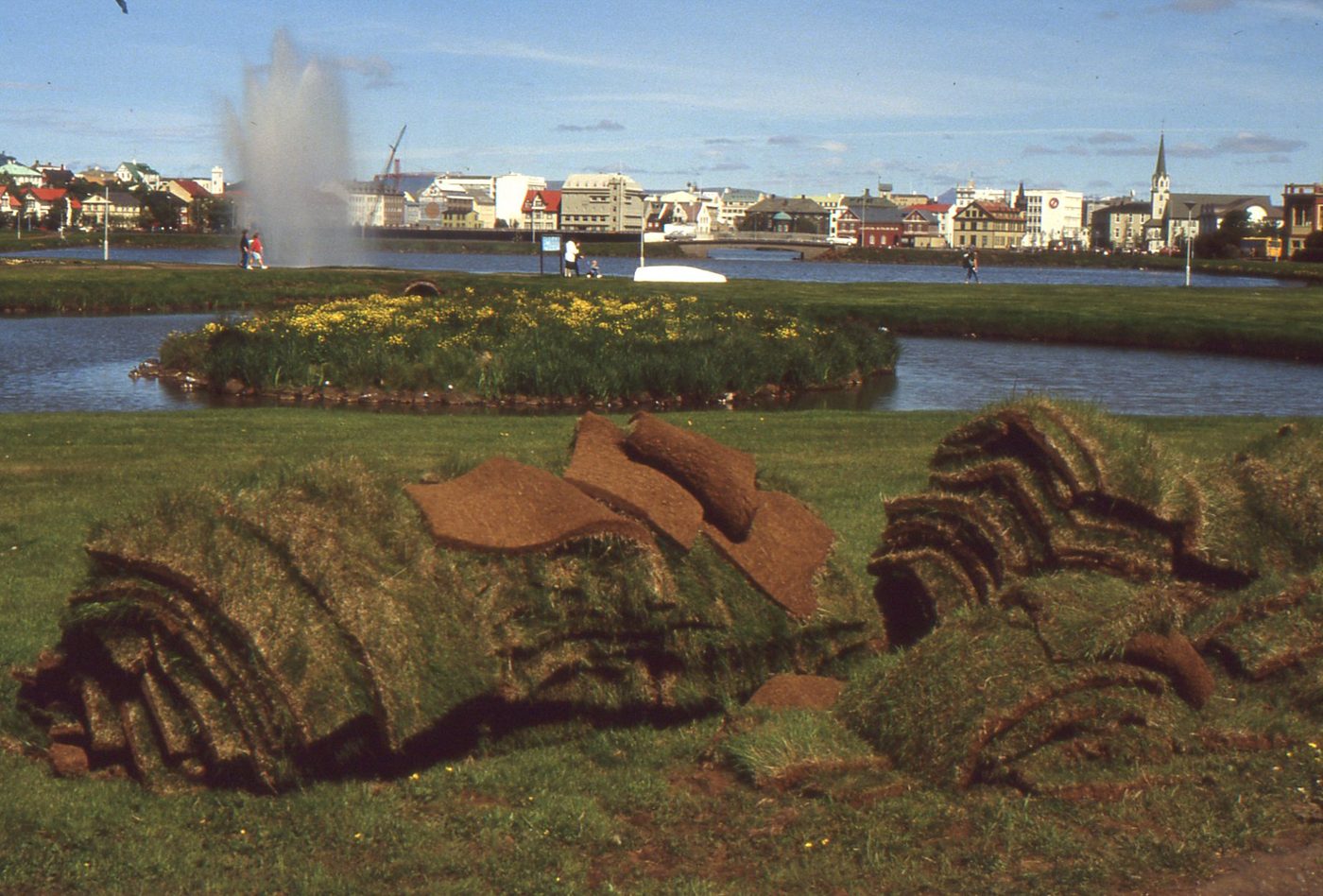 Tjörnin (The Pond)