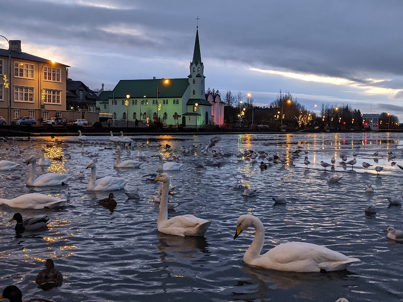 Tjörnin (The Pond)