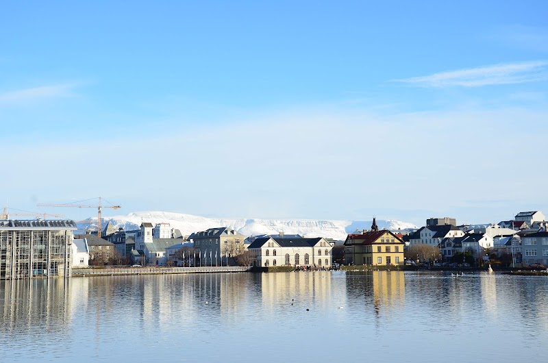 Tjörnin (The Pond)