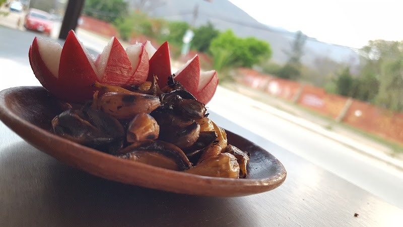 Tlayudas at Tlayudas Doña Flor