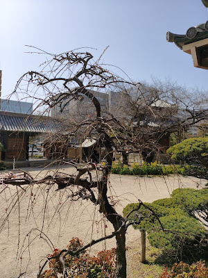 Tocho-ji Temple