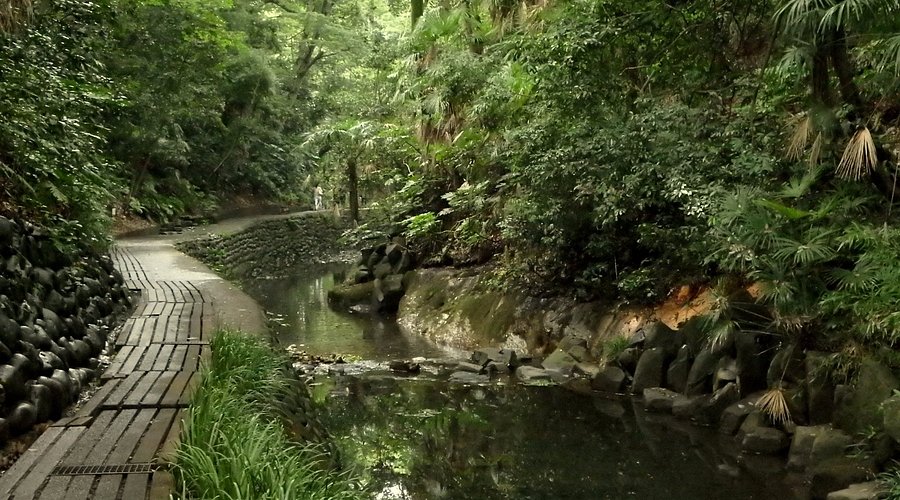 Todoroki Valley