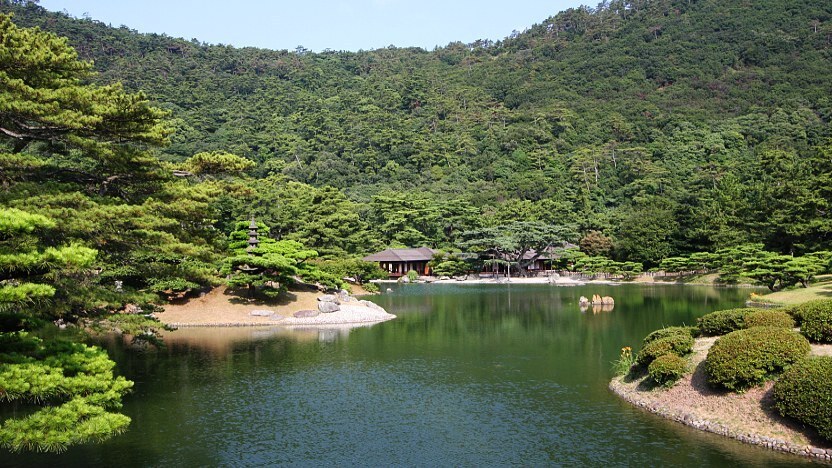 Toga Forest Park