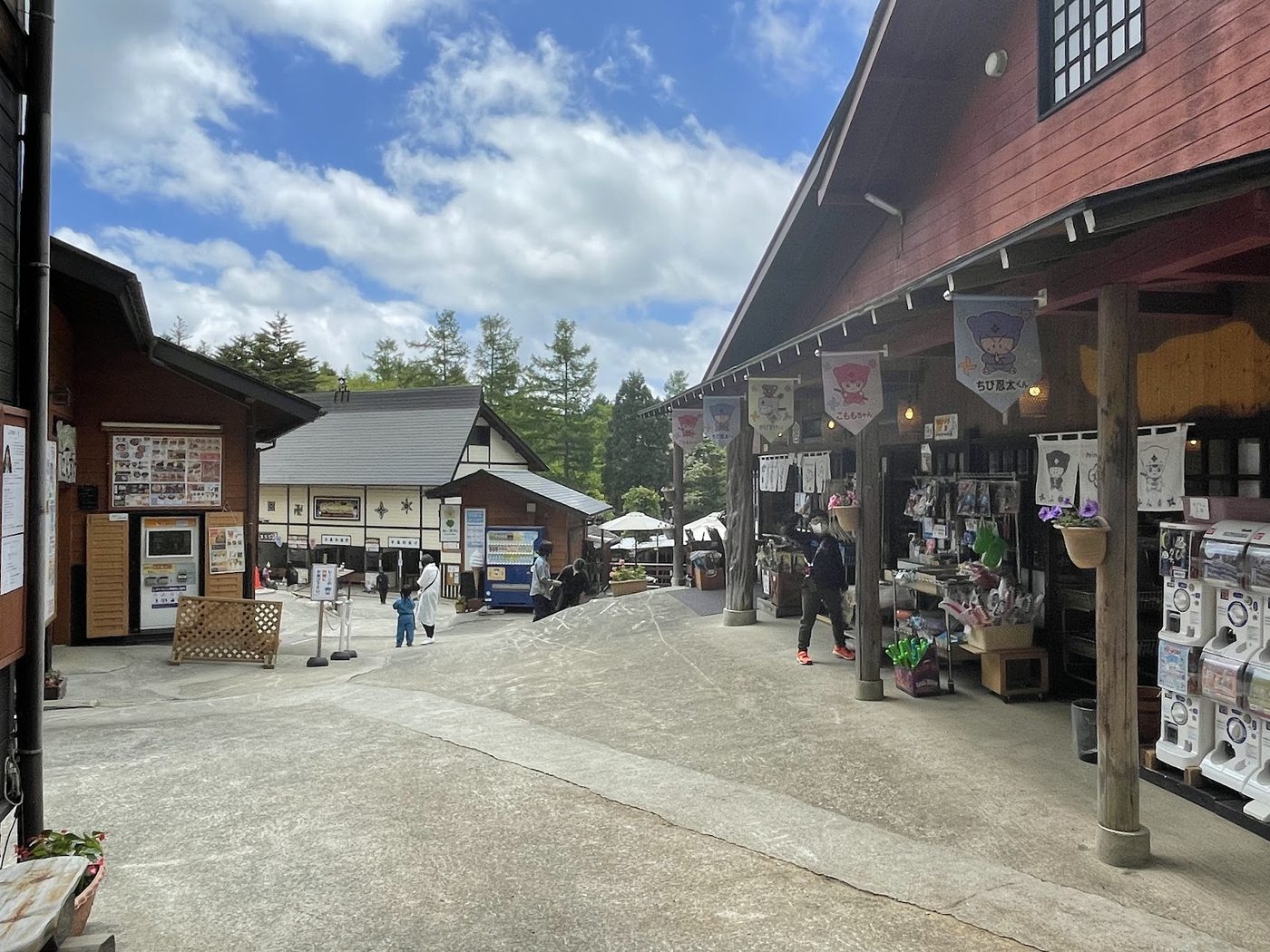 Togakushi Ninja Village & Soba