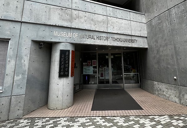 Tohoku University Museum
