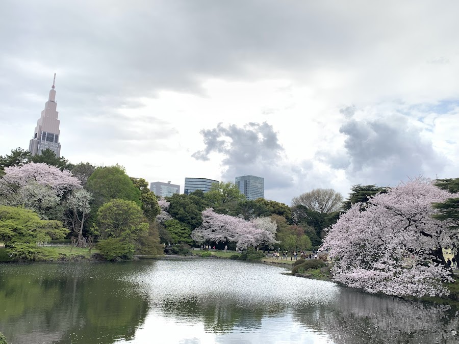 Tokaen Shinjuku
