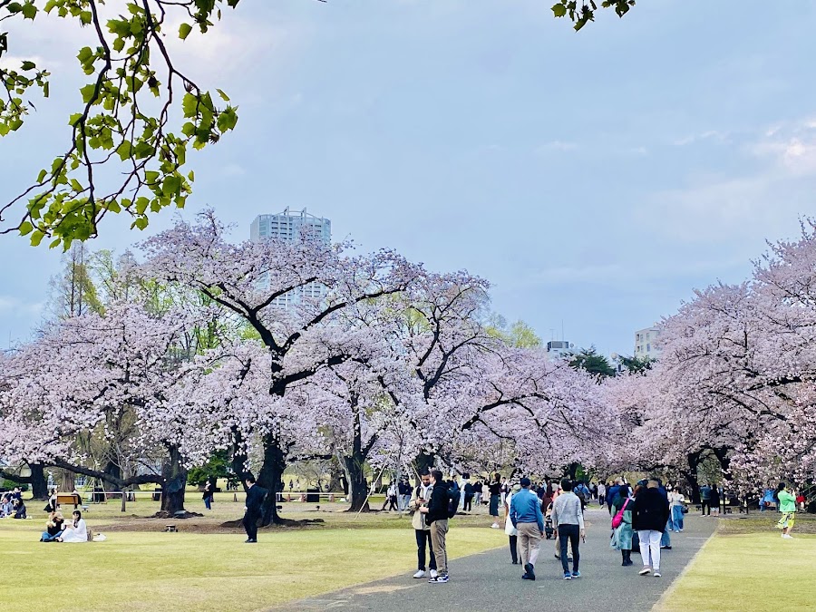 Tokaen Shinjuku