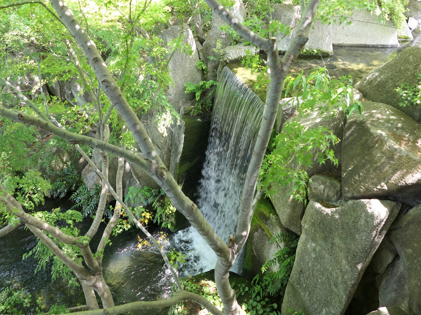 Tokugawa Garden