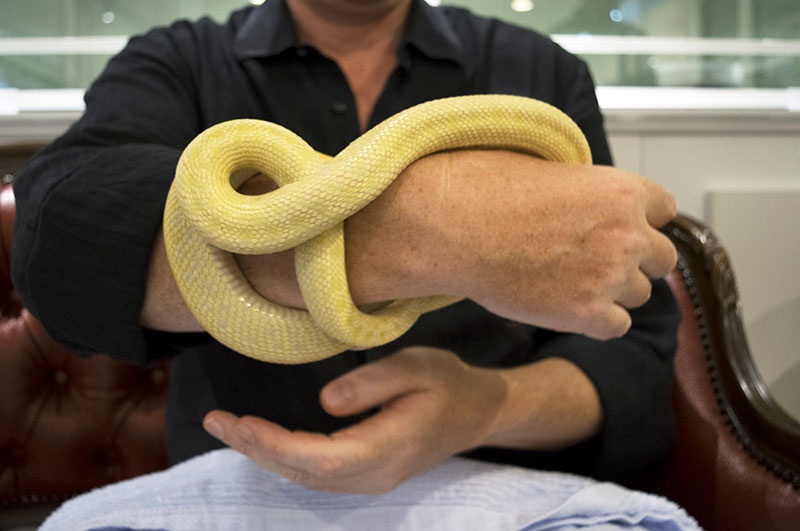 Tokyo Snake Center