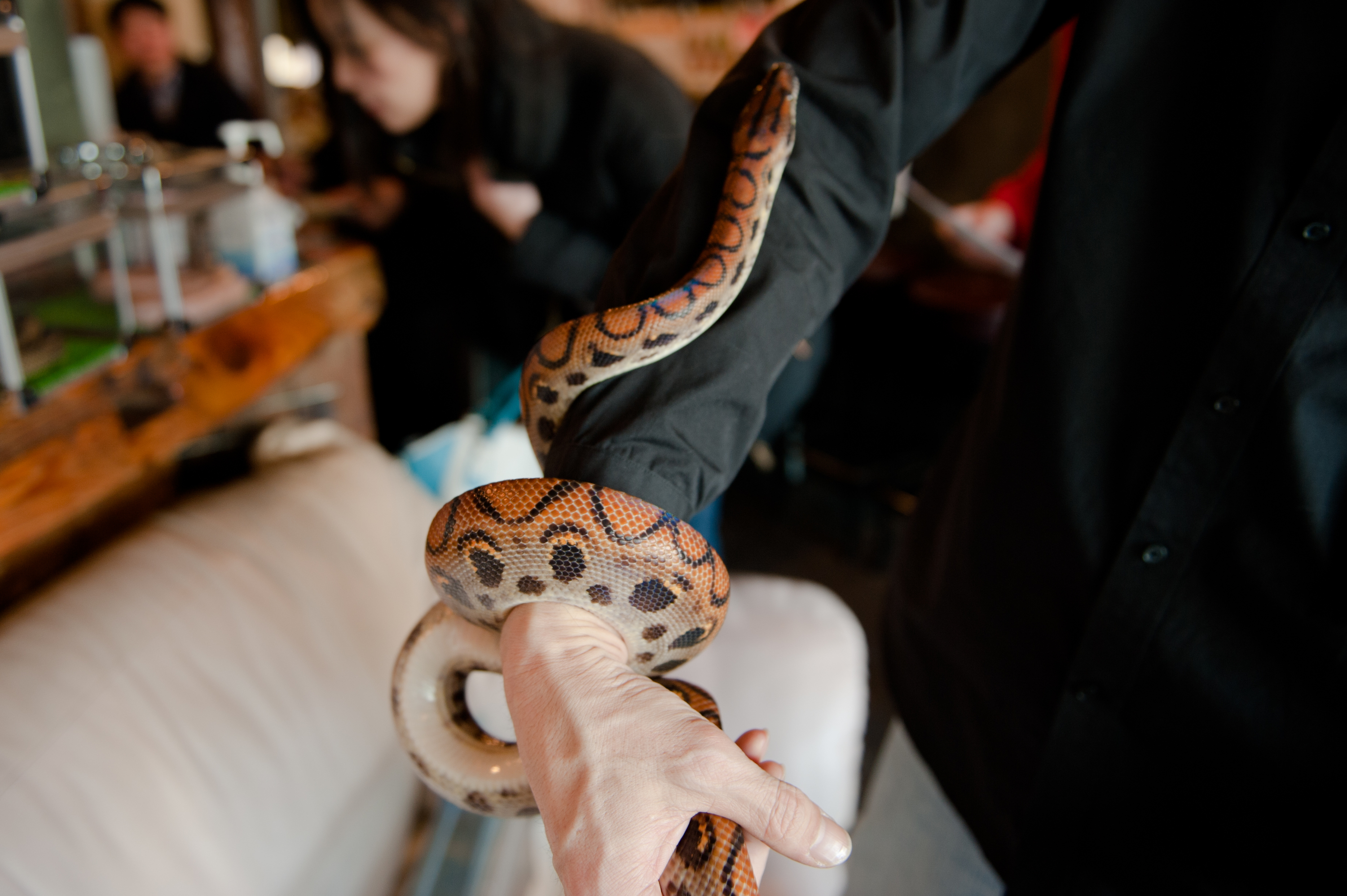 Tokyo Snake Center