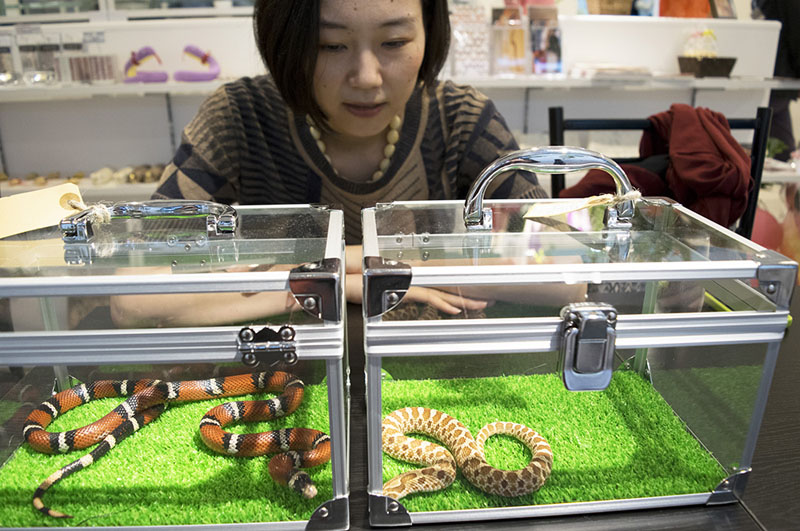 Tokyo Snake Center