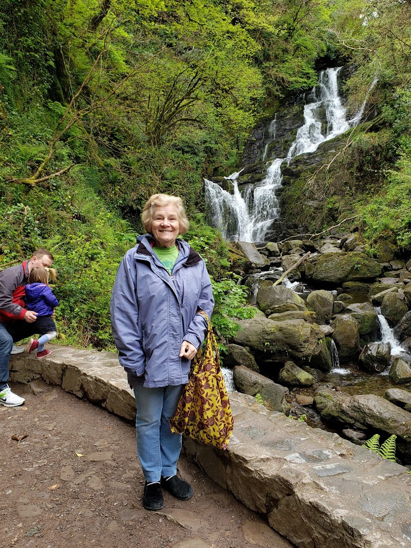 Torc Waterfall