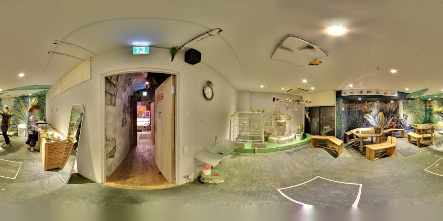 Tori no Iru Cafe