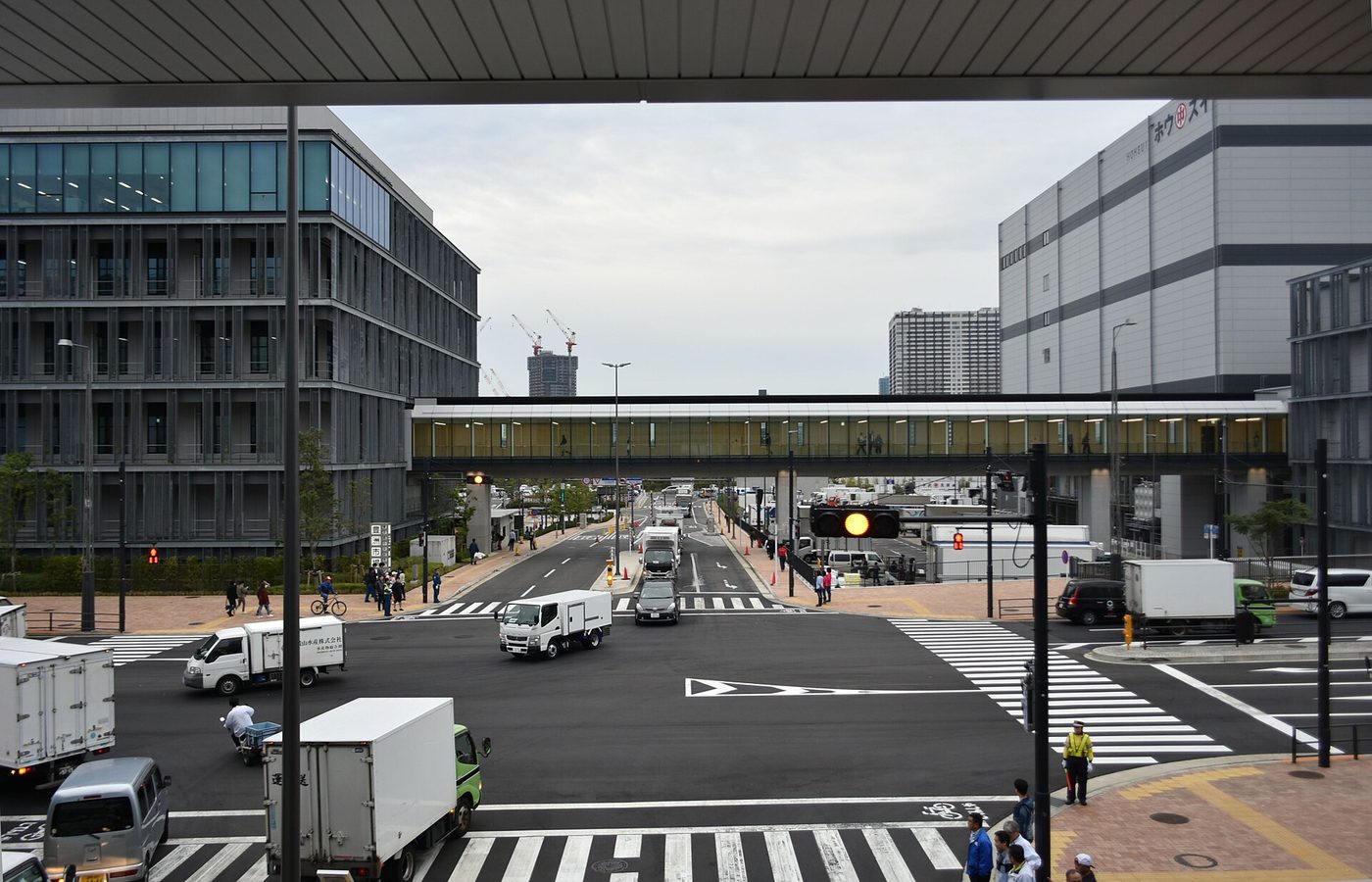 Toyosu Fish Market