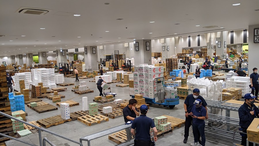 Toyosu Fish Market Auction