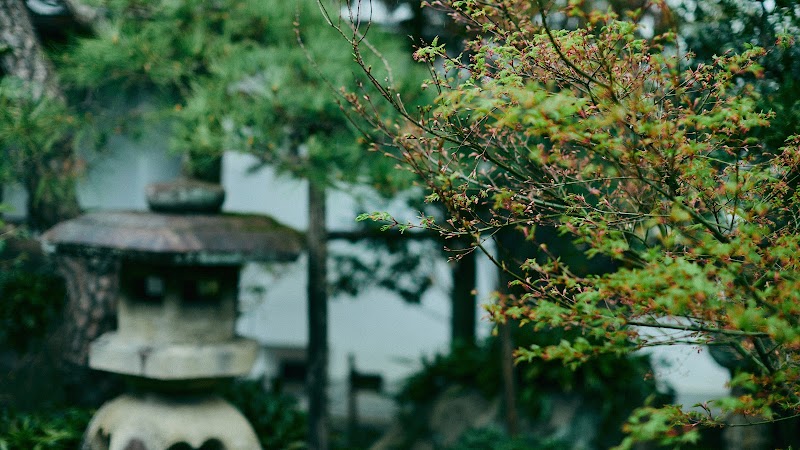 Traditional Tea Ceremony