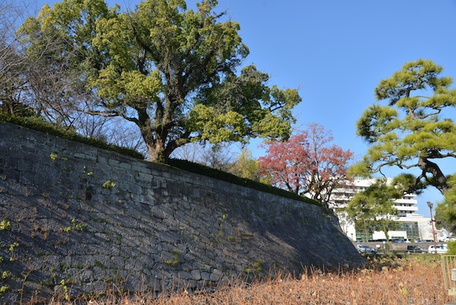 Tsurumaru Castle Ruins